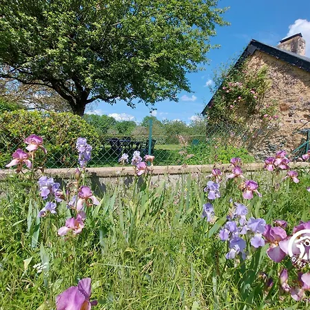 Mortin Dom wakacyjny Évron